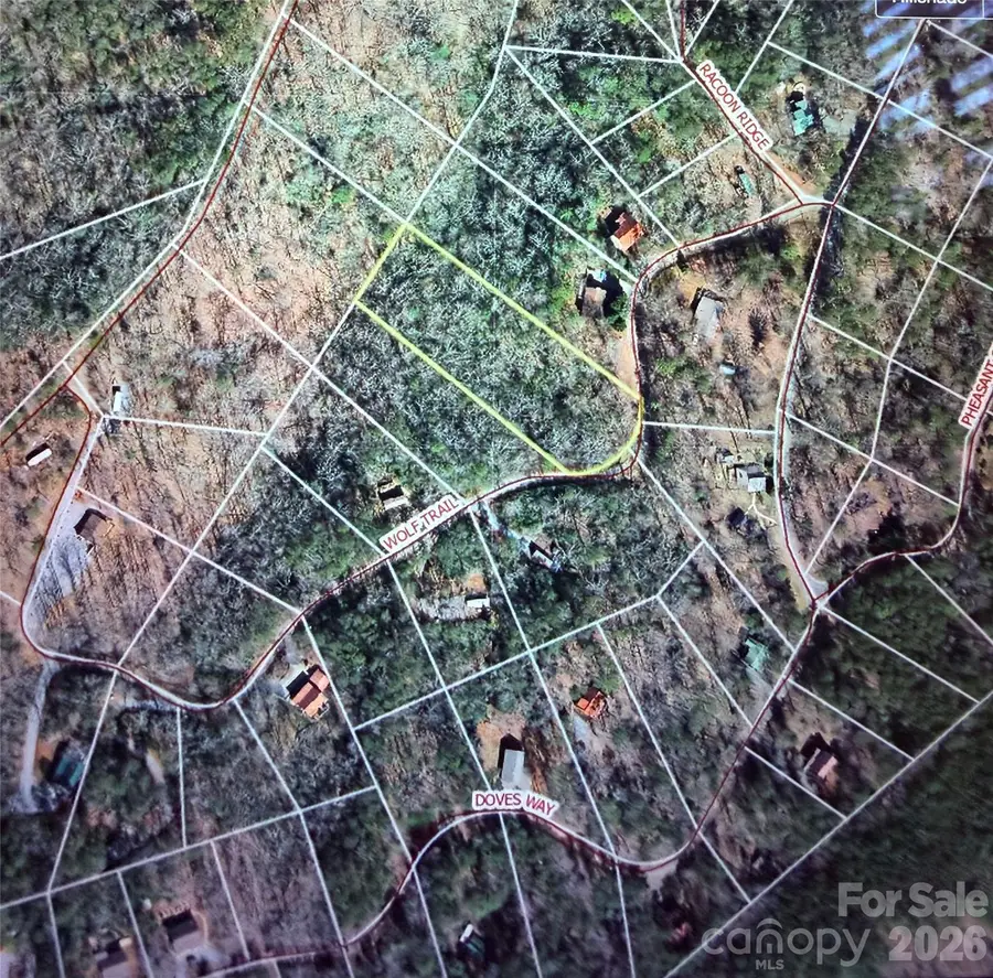 0 Wolf Trail #030, Lake Lure, NC 28746 - #2