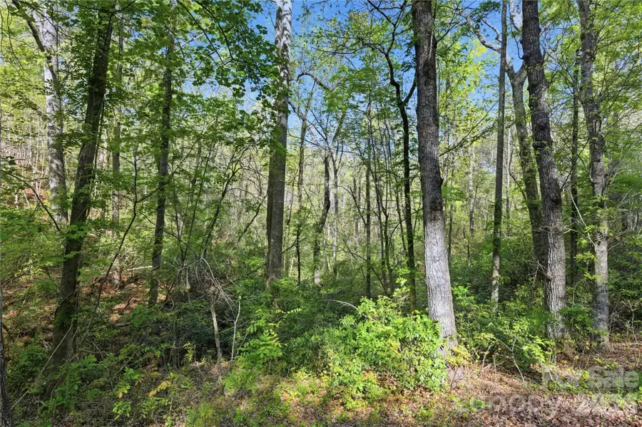 0 Wolf Trail #030, Lake Lure, NC 28746 - #3