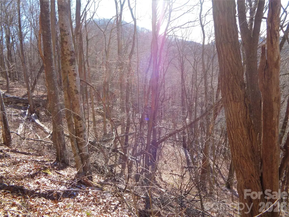 00 Listening Cove #41, Clyde, NC 28721 - #1