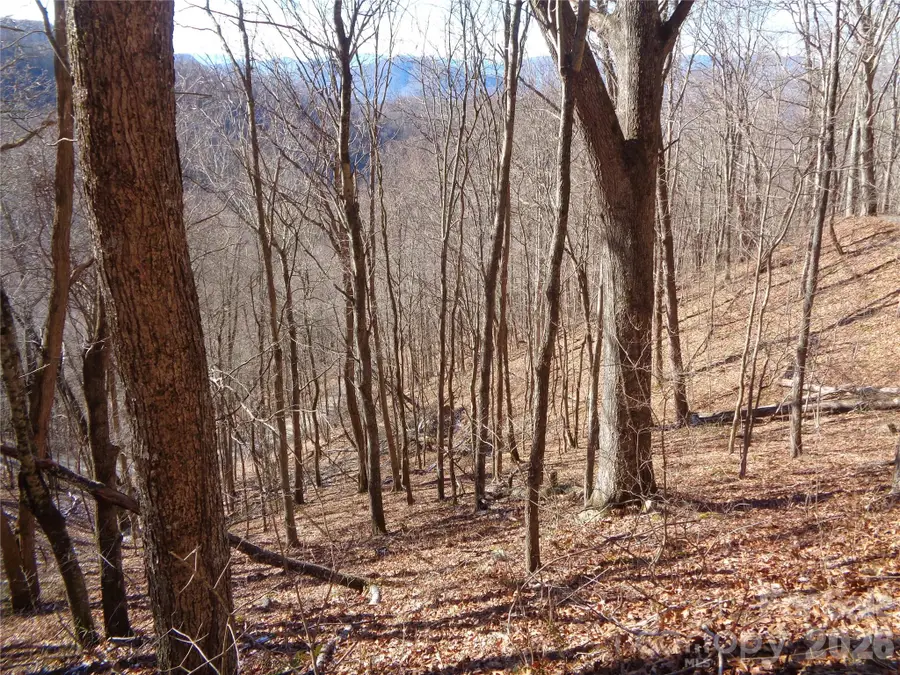 00 Listening Cove #41, Clyde, NC 28721 - #2