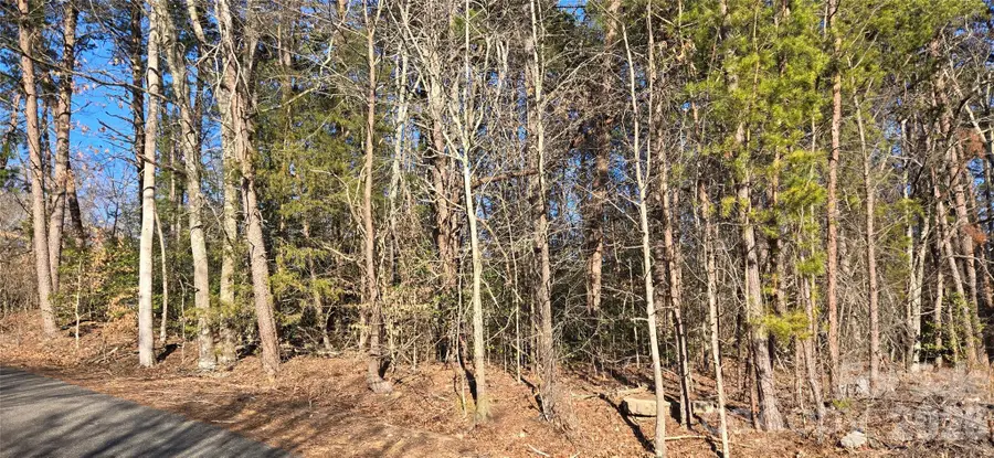 1214 Cartwright Drive #33, Catawba, NC 28609 - #2