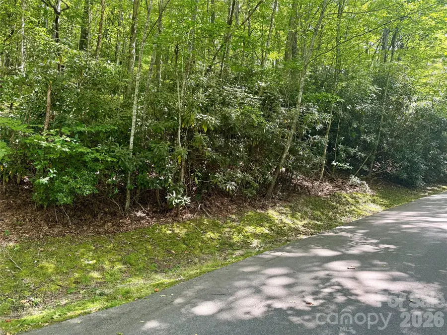 115 Black Oak Drive, Sapphire, NC 28774 - #2