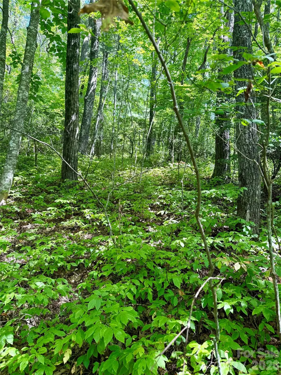 115 Black Oak Drive, Sapphire, NC 28774 - #3