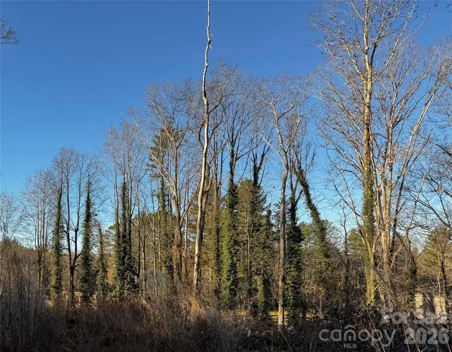 00 Westview Drive #14a - lot 2, Hendersonville Township, NC 28791 - Image #3