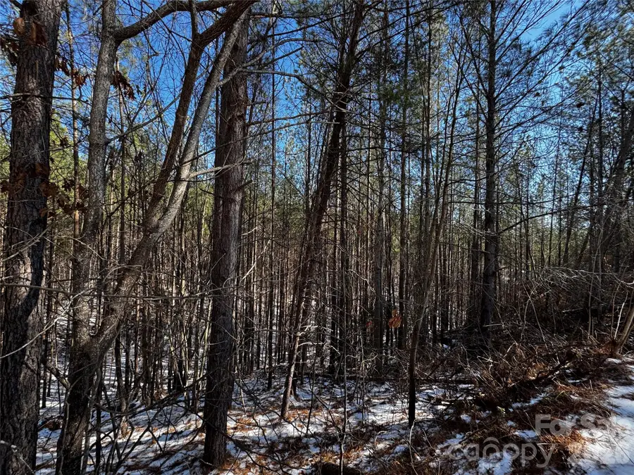 LT 5 Geebees Way, Mill Spring, NC 28756 - #2