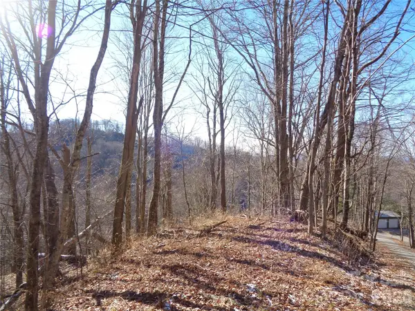 000 Listening Cove #42, Clyde, NC 28721