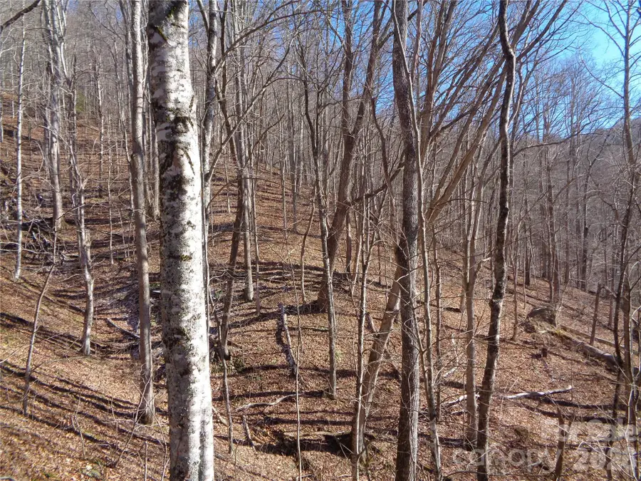 000 Listening Cove #42, Clyde, NC 28721 - #3