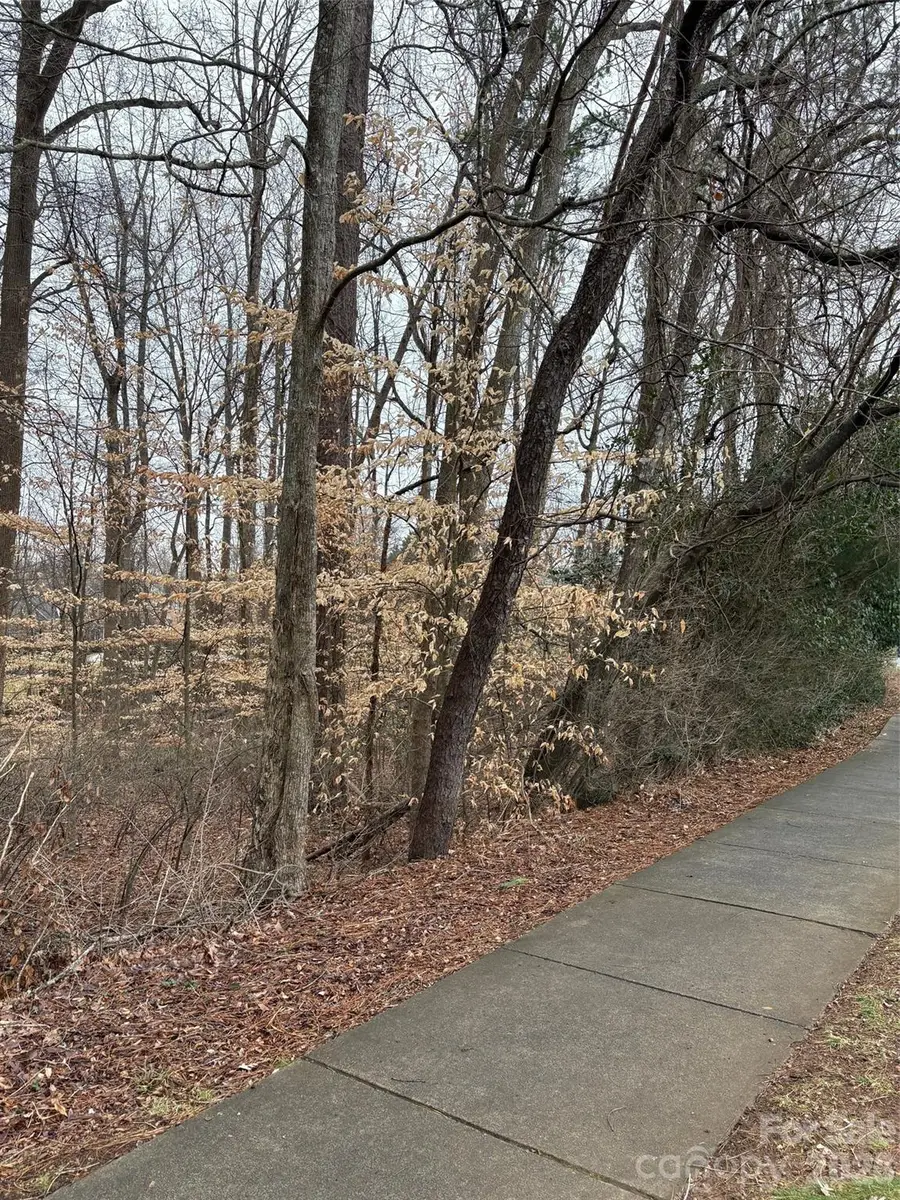 1062 Elizabeth Manor Court, Matthews, NC 28105 - Image #3