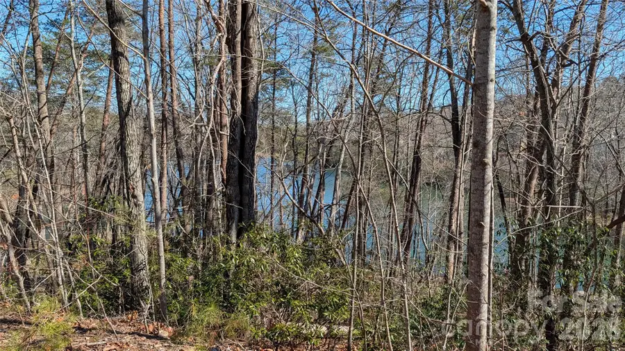 0 Lakewood Drive, Lake Lure, NC 28746 - #3