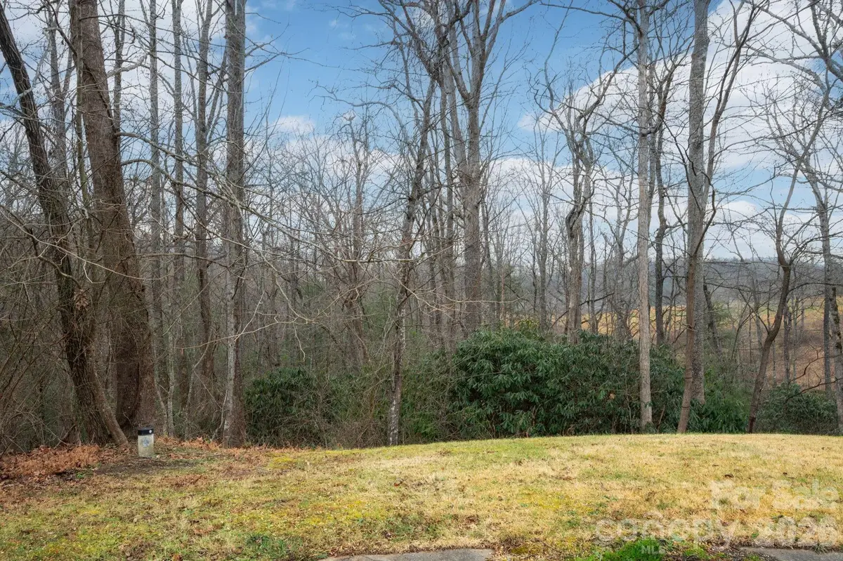 38 Gollum Drive, Fairview, NC 28730 - #1