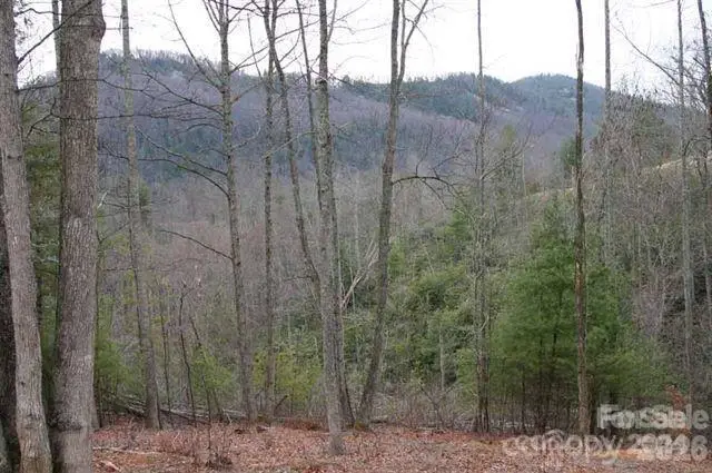 0000 Silverglen Way, Hendersonville, NC 28792 - #1