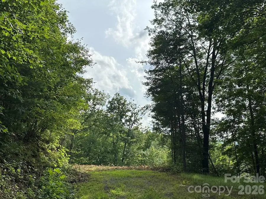 87-3 Eagles Flight None, Bryson City, NC 28713 - #3