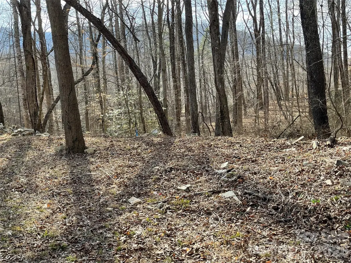 000 Max Metcalf Road, Swannanoa, NC 28778 - #1