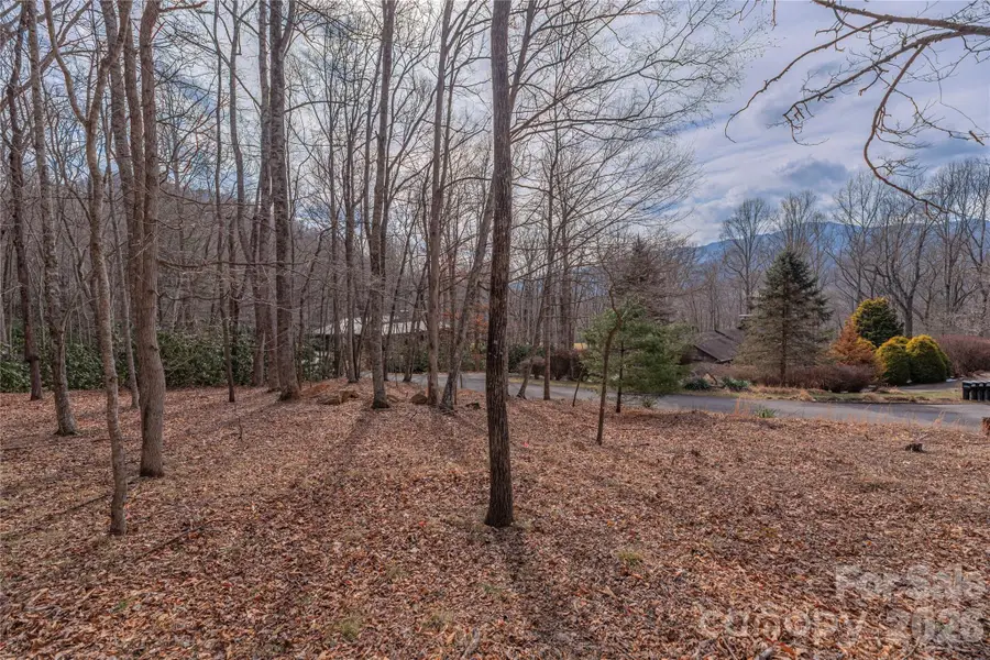 1345 Country Club Drive, Canton, NC 28716 - #2