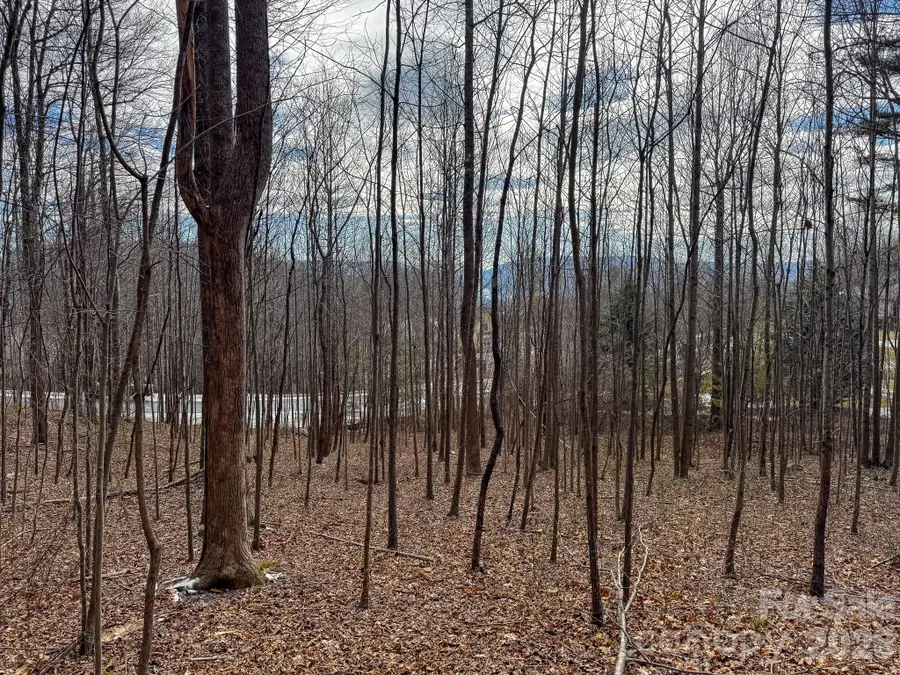 770 Somersby Parkway, Hendersonville, NC 28739 - #3