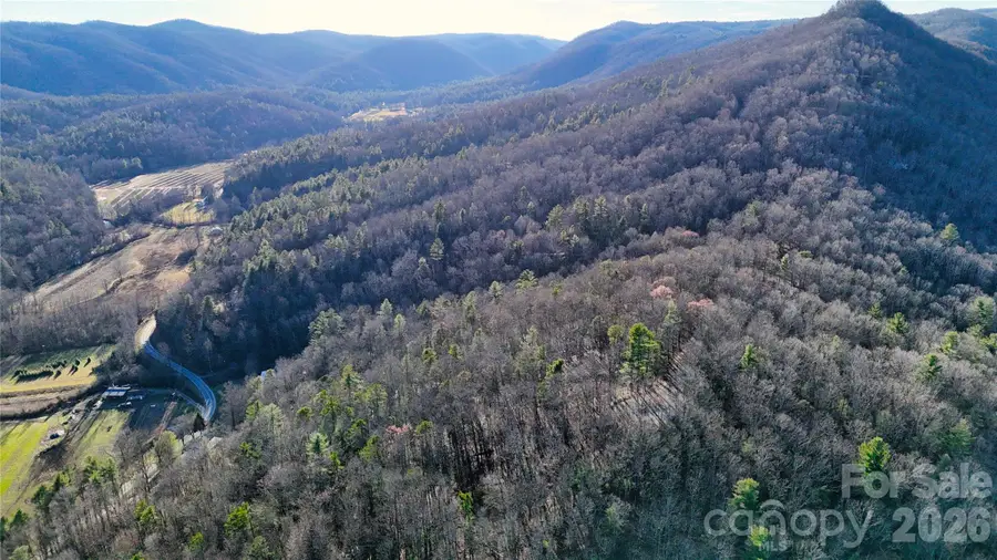 130 Brown Bear Ridge Trail #17, Zirconia, NC 28790 - Image #3