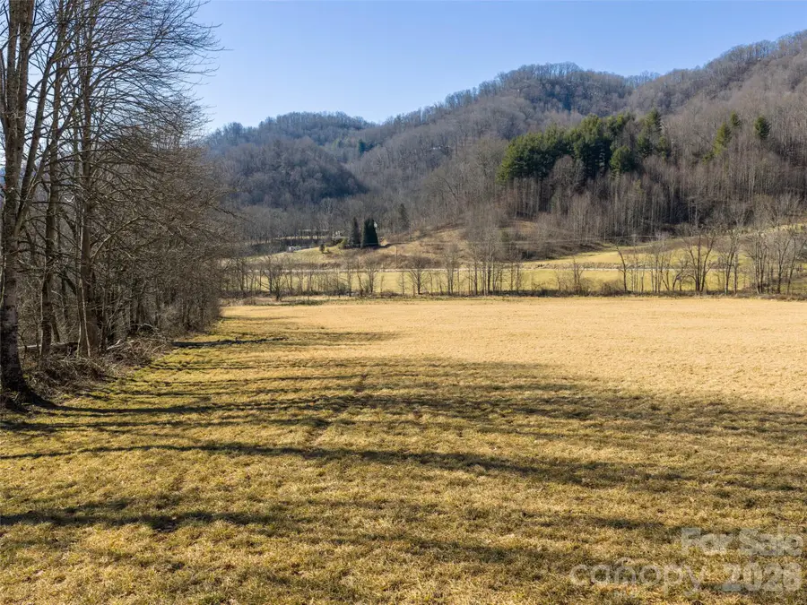 00 Sallys Branch Road, Clyde, NC 28721 - #3