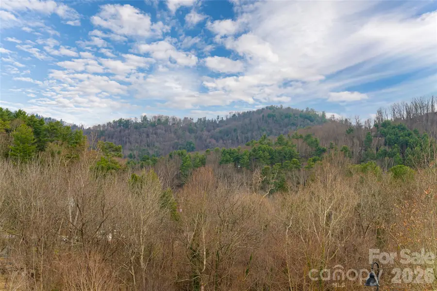 22 Snap Dragon Court, Asheville, NC 28804 - #3
