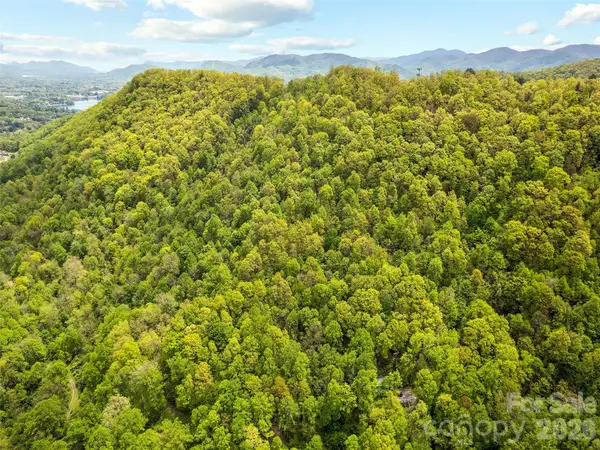 00 Locust Trail, Waynesville, NC 28785