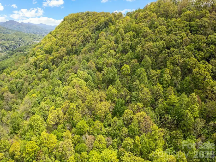 00 Locust Trail, Waynesville, NC 28785 - #3