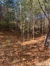 436 Sunset Point Parkway #39, Nebo, NC 28761 - #2