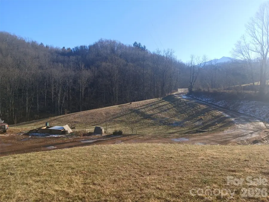 1874 Double Island Road, Green Mountain, NC 28740 - #3