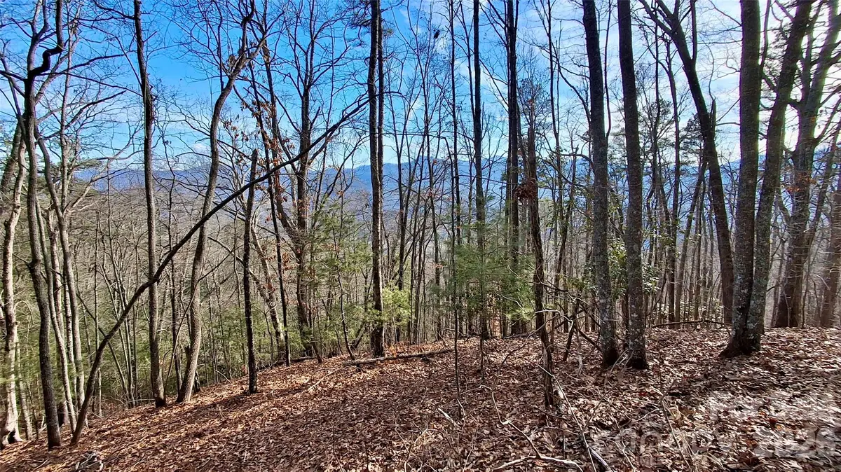 0 Briarwood Road, Webster, NC 28788 - #1