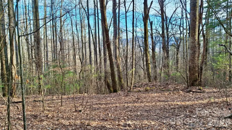 0 Briarwood Road, Webster, NC 28788 - #3