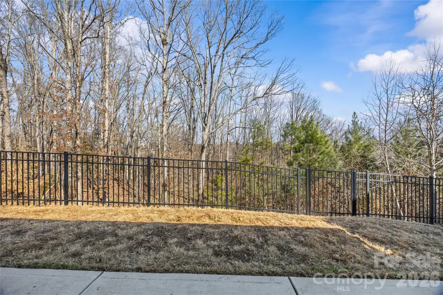 609 Cape Fear Street, Fort Mill, SC 29715 - Image #3