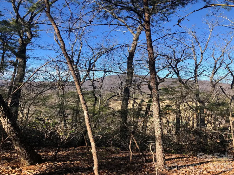 0 Buffalo Creek Road #Lot 35, Lake Lure, NC 28746 - #3