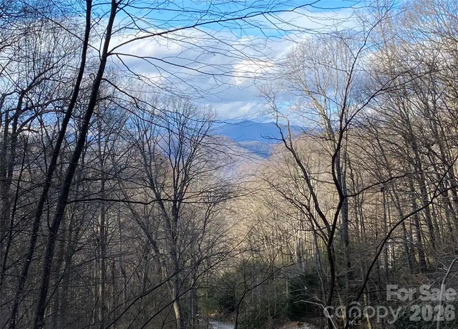 119 Wildflower Cove Drive, Swannanoa, NC 28778 - #2