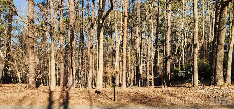 11176 Water Trace Drive, Fort Mill, SC 29708 - #3