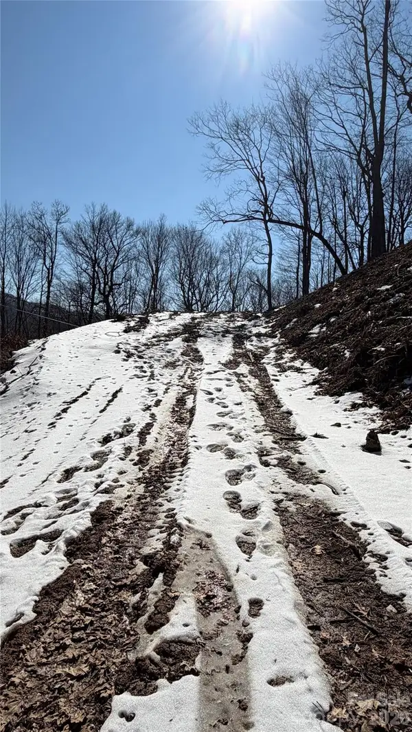 000 Fox Den Road #109, Mars Hill, NC 28754