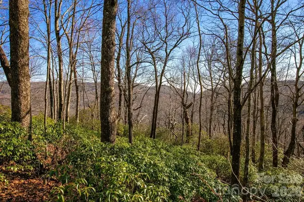 TBD Oak Ridge Road #17, Rosman, NC 28772