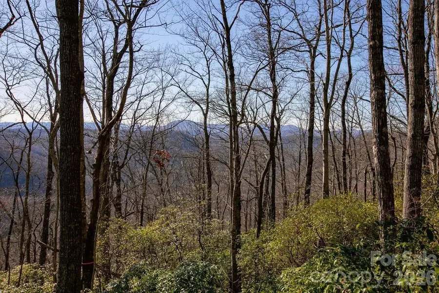 TBD Oak Ridge Road #17, Rosman, NC 28772 - #2