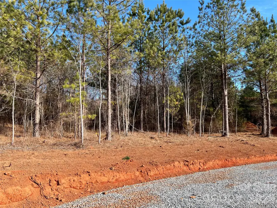 1229 Centennial Road, Rutherfordton, NC 28139 - #2