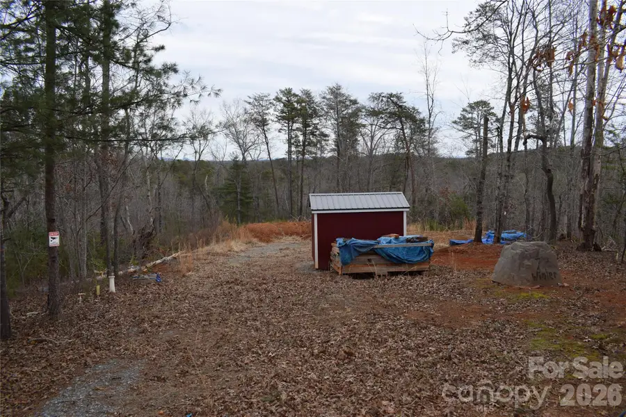 172 Winter Lane, Mill Spring, NC 28756 - #3