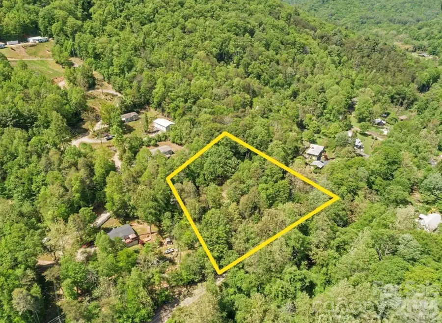 1127 Bee Tree Road, Swannanoa, NC 28778 - #2