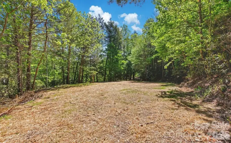 1127 Bee Tree Road, Swannanoa, NC 28778 - #3