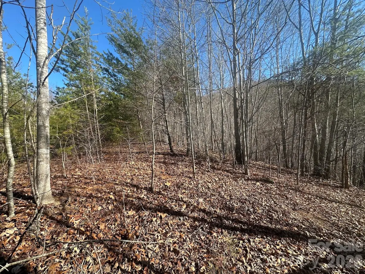 127 Robinwood Trail, Bostic, NC 28018 - #1