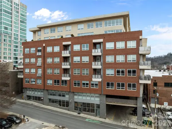 12 S Lexington Avenue #401, Asheville, NC 28801