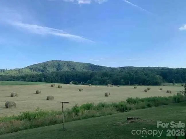 1681 Zion Hill Road, Marion, NC 28752 - #2