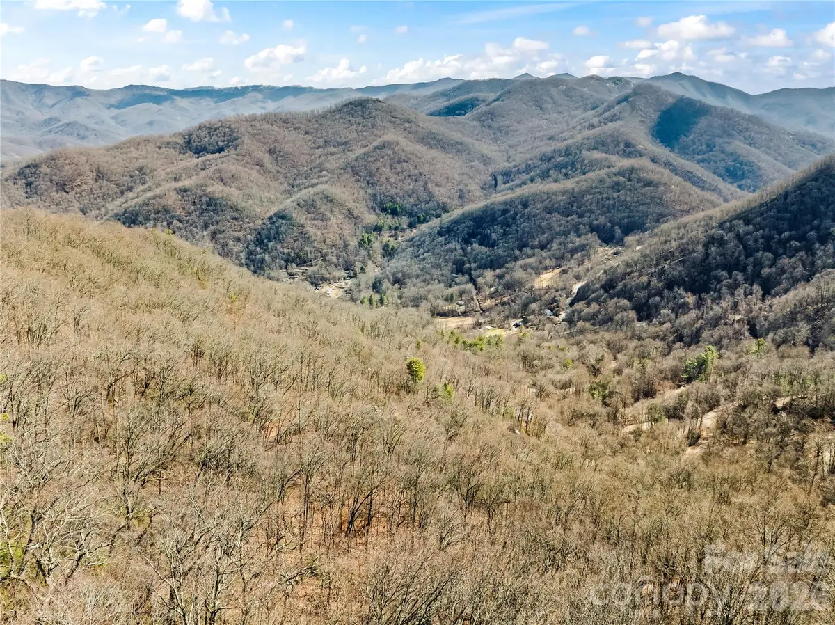 31 Reillys Bluff Road #2, Barnardsville, NC 28709 - #1