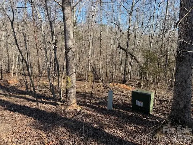 00 Valley Drive, Rutherfordton, NC 28139 - #3