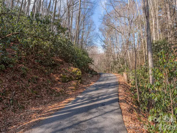 0 Coyote Hollow Road, Waynesville, NC 28785