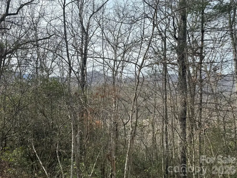 Lot 10, 11 River Run Run, Franklin, NC 28734 - #3