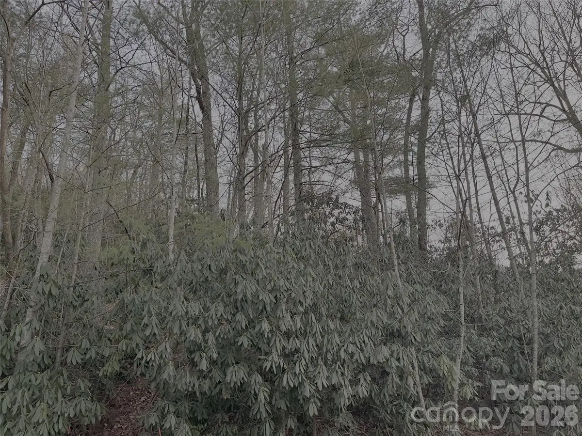 742 Zelda Court #71, Hendersonville, NC 28792 - #1