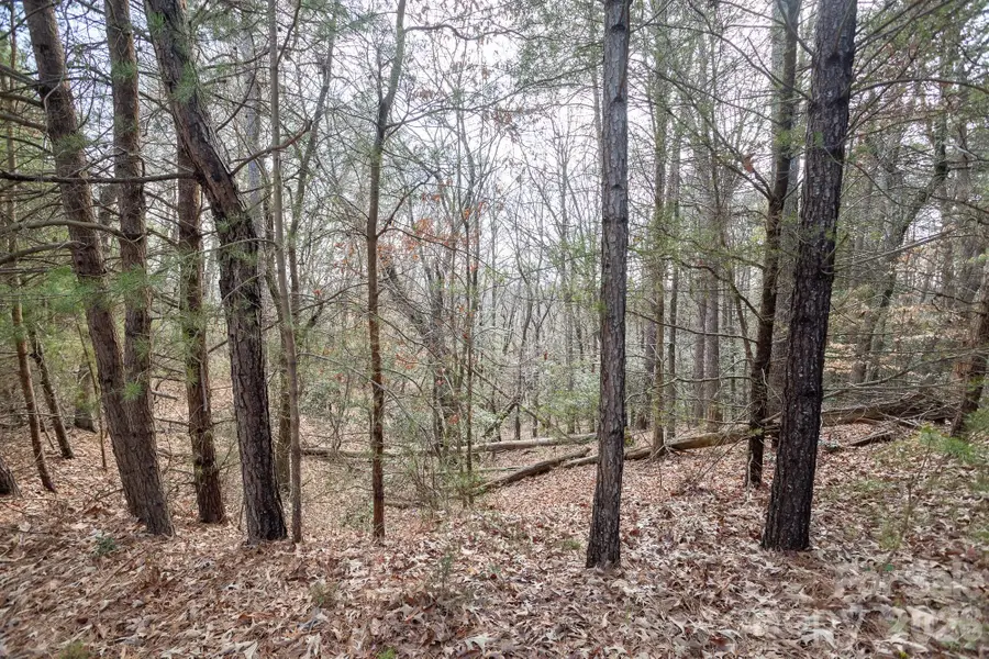 4012 Beechwood Spring Lane, Belmont, NC 28012 - #3