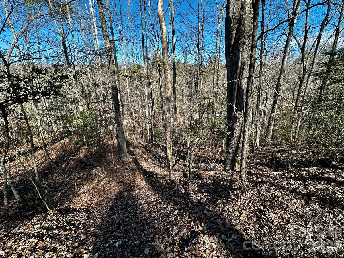 Lot 11 Blue Mist Mountain Road, Whittier, NC 28789 - #1