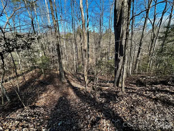 Lot 11 Blue Mist Mountain Road, Whittier, NC 28789